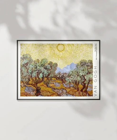 Çerçevesiz Poster Vincent Van Gogh Zeytin Ağaçları - 2