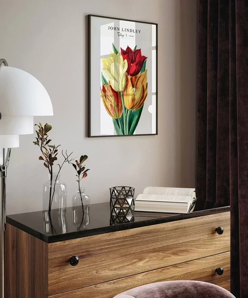 Çerçevesiz Poster John Lindley Lale - Resim 5