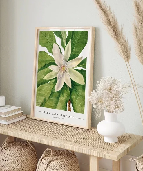 Çerçevesiz Poster Mary Vaux Walcott Umbrella Tree - Resim 4