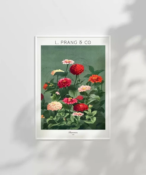 Çerçevesiz Poster L. Prang Çiçekler - Resim 6