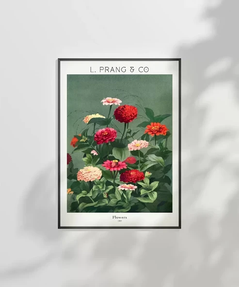 Çerçevesiz Poster L. Prang Çiçekler - Resim 2