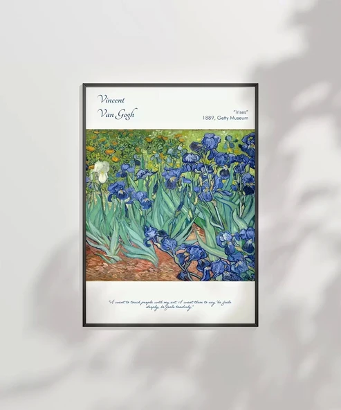Çerçevesiz Poster Vincent Van Gogh Süsen Çiçekleri - Resim 2