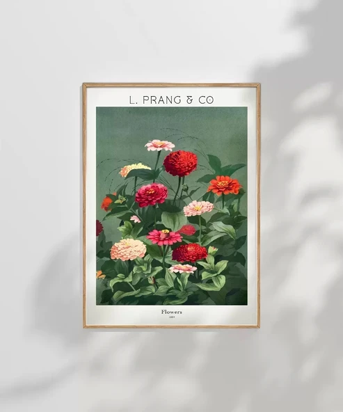 Çerçevesiz Poster L. Prang Çiçekler - Resim 7