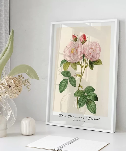 Çerçevesiz Poster Rosa Damascane Italica - Resim 5