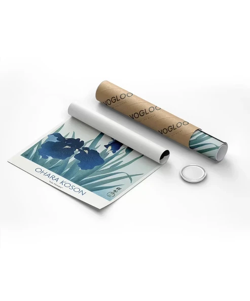 Çerçevesiz Poster Ohara Koson Süsen Çiçekleri 2 - 8