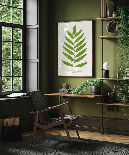 Çerçevesiz Poster Polypodium Inaequale - Resim 5