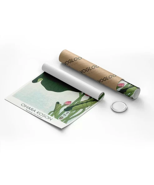 Çerçevesiz Poster Ohara Koson Çiçek Açan Lotus Çiçekleri 3 - Resim 8