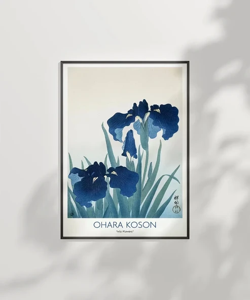 Çerçevesiz Poster Ohara Koson Süsen Çiçekleri 2 - 2
