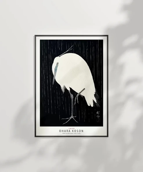 Çerçevesiz Poster Ohara Koson Yağmurda Ak Balıkçıl - Resim 6