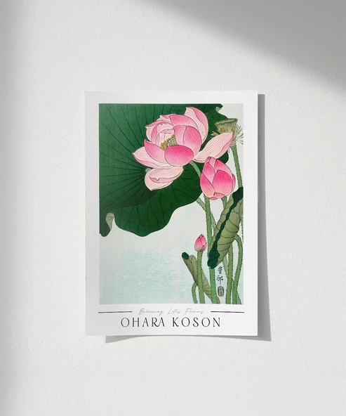 Çerçevesiz Poster Ohara Koson Çiçek Açan Lotus Çiçekleri ürün görseli