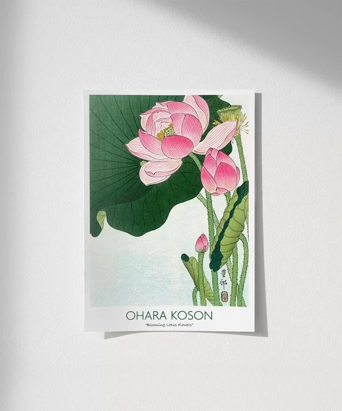 Çerçevesiz Poster Ohara Koson Çiçek Açan Lotus Çiçekleri 3 ürün görseli