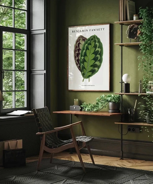 Çerçevesiz Poster Benjamin Fawsett Calathea Veitchiana - Resim 4