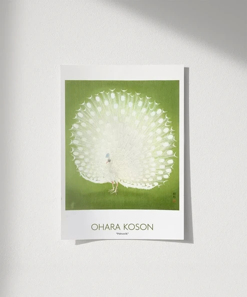 Çerçevesiz Poster Ohara Koson Peacock ürün görseli