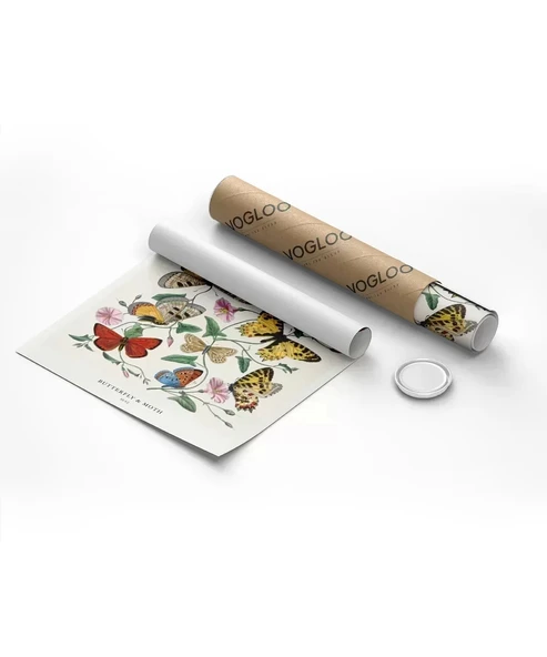 Çerçevesiz Poster Kelebekler ve Güveler - Resim 2