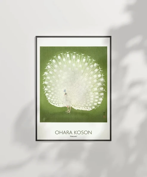 Çerçevesiz Poster Ohara Koson Peacock - Resim 2