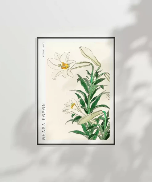 Çerçevesiz Poster Ohara Koson Zambaklar - Resim 6