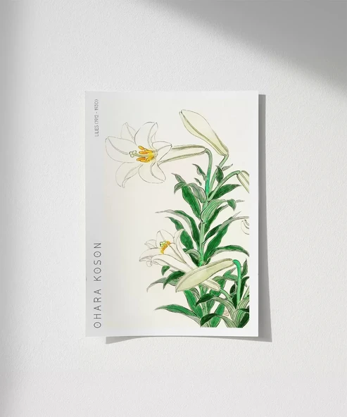 Çerçevesiz Poster Ohara Koson Zambaklar ürün görseli
