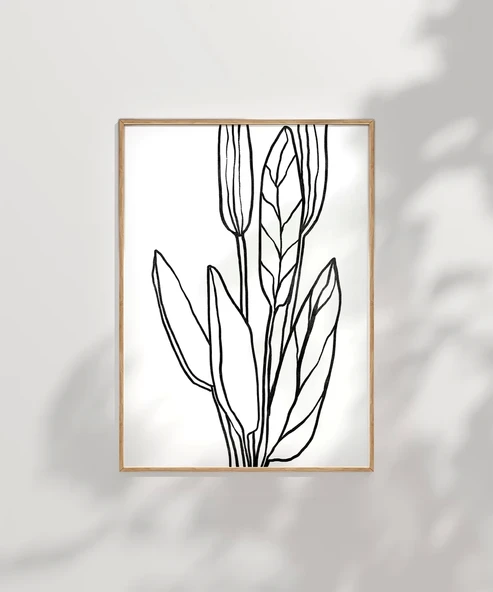 Çerçevesiz Poster Soyut Bitki Formları Grafik Sanat - Resim 6