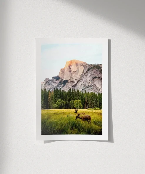 Çerçevesiz Poster Vahşi Yaşam ve Dağlar ürün görseli