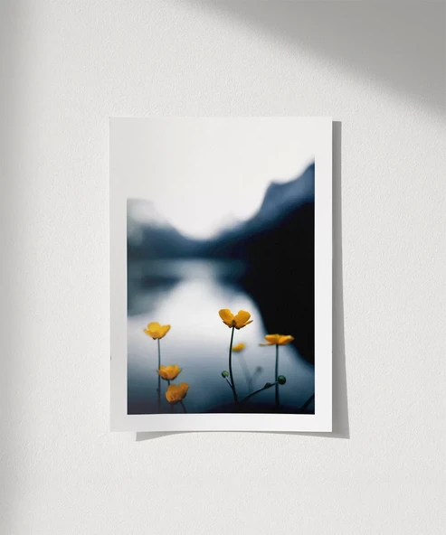 Çerçevesiz Poster Doğanın Altınları ürün görseli