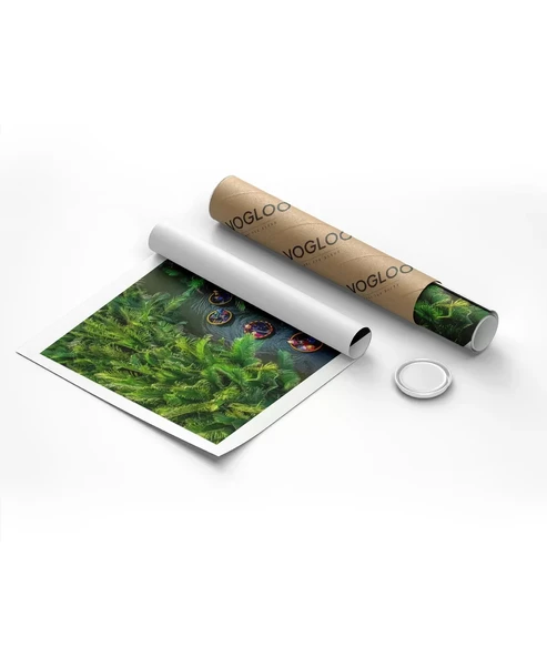 Çerçevesiz Poster Yeşil Nehir Serüveni - Resim 8