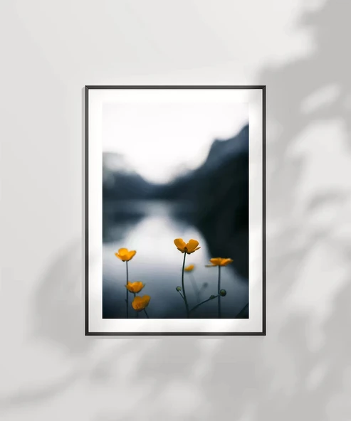 Çerçevesiz Poster Doğanın Altınları - Resim 6