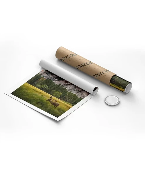 Çerçevesiz Poster Vahşi Yaşam ve Dağlar - Resim 8