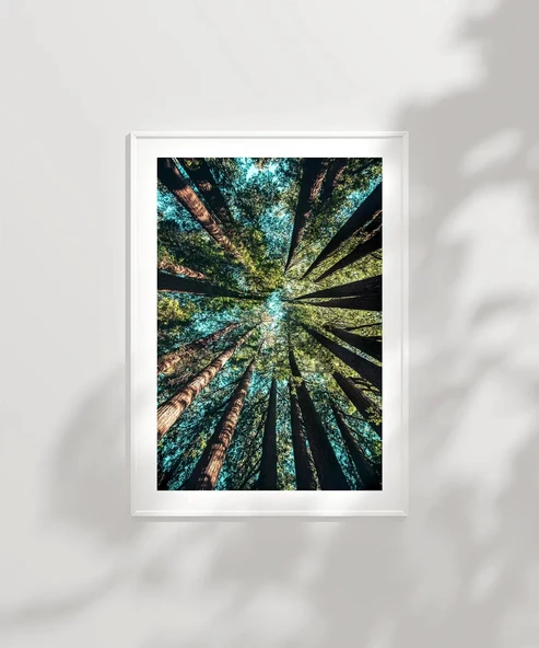 Çerçevesiz Poster Doğanın Yüksekliği - Resim 2