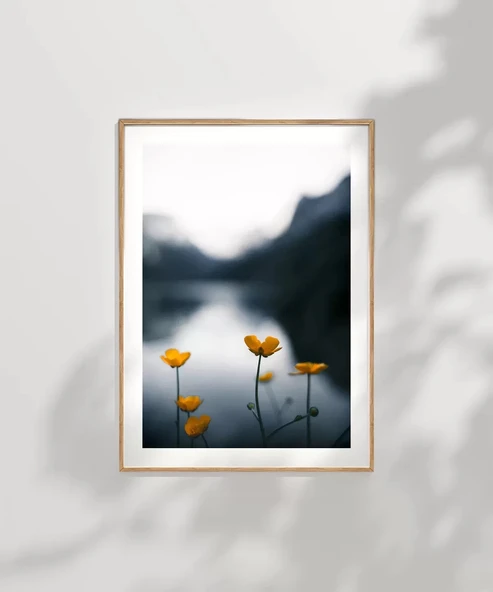 Çerçevesiz Poster Doğanın Altınları - Resim 7