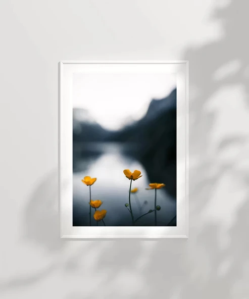 Çerçevesiz Poster Doğanın Altınları - Resim 2