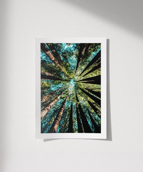 Çerçevesiz Poster Doğanın Yüksekliği ürün görseli