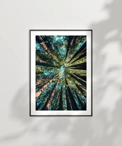 Çerçevesiz Poster Doğanın Yüksekliği - Resim 6