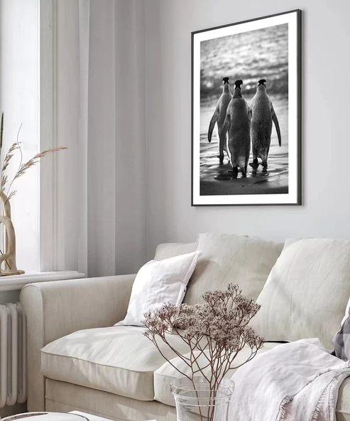 Çerçevesiz Poster Penguen Kardeşliğ, - Resim 3