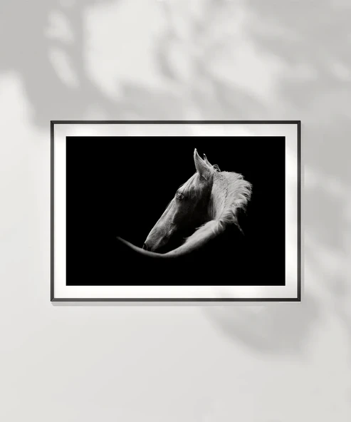 Çerçevesiz Poster Gölgedeki Asalet - Resim 2