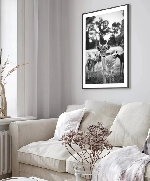 Çerçevesiz Poster Meraklı Bakışlar - Resim 3