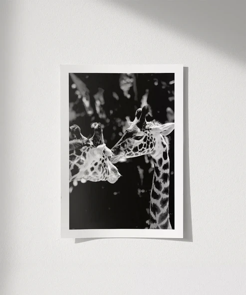 Çerçevesiz Poster Uzun Boylu Aşk ürün görseli