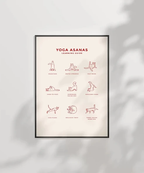 Çerçevesiz Poster Pati Yogası - Resim 6