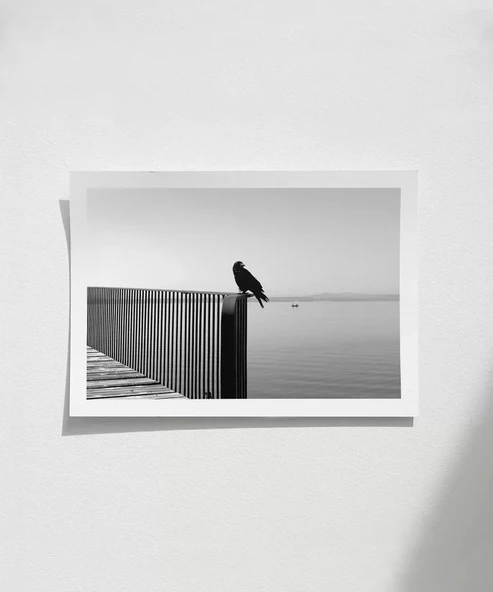 Çerçevesiz Poster Sessizliğin Kanatları ürün görseli