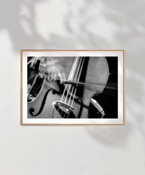 Çerçevesiz Poster Stradivarius'un İzinde - Resim 7