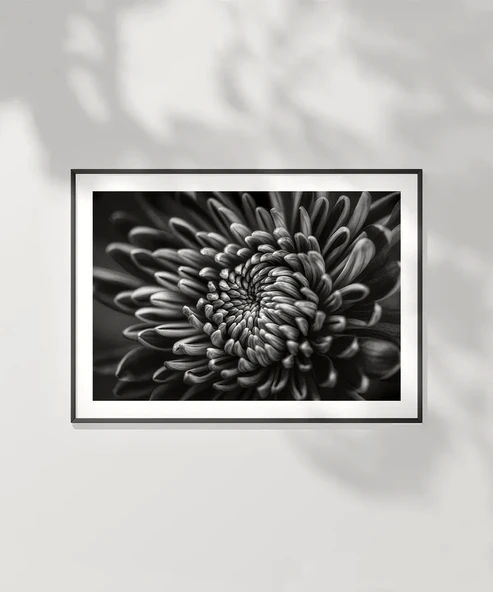 Çerçevesiz Poster Doğanın Geometrisi - Resim 2