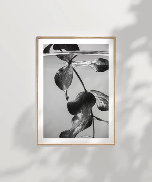 Çerçevesiz Poster Suyun Altındaki Hayat - Resim 7