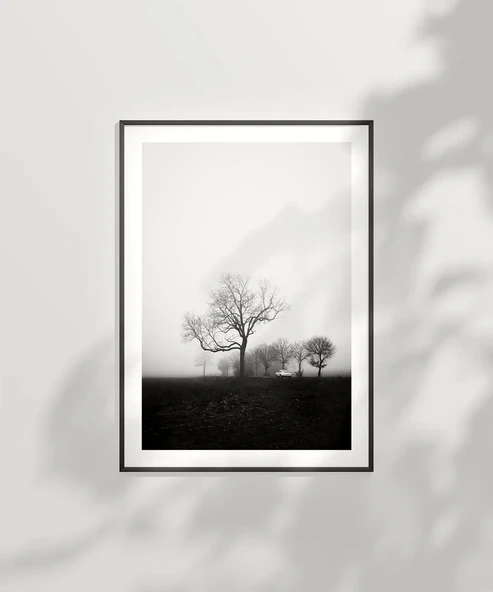 Çerçevesiz Poster Sessiz Bir Sabah - Resim 2