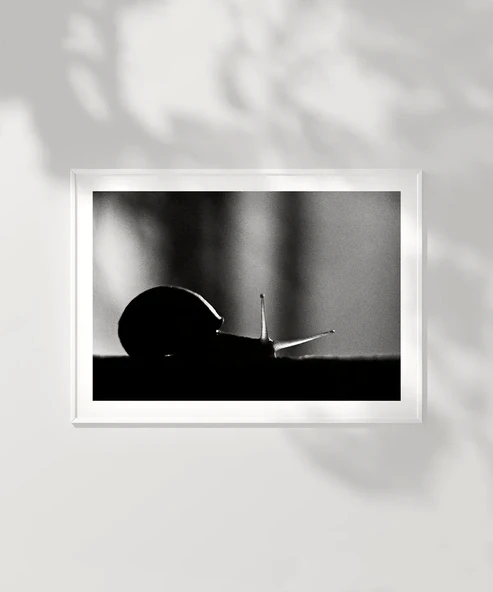 Çerçevesiz Poster Sabırın Gücü - Resim 6