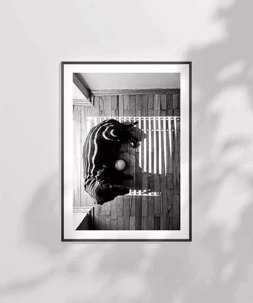 Çerçevesiz Poster Gölge Oyunları - Resim 2