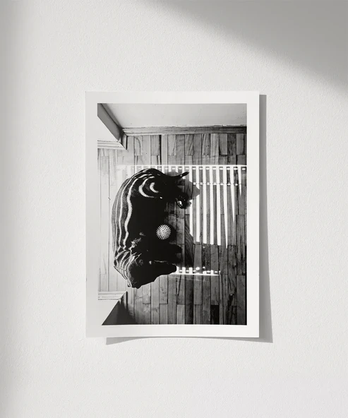 Çerçevesiz Poster Gölge Oyunları ürün görseli