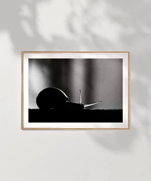 Çerçevesiz Poster Sabırın Gücü - Resim 7