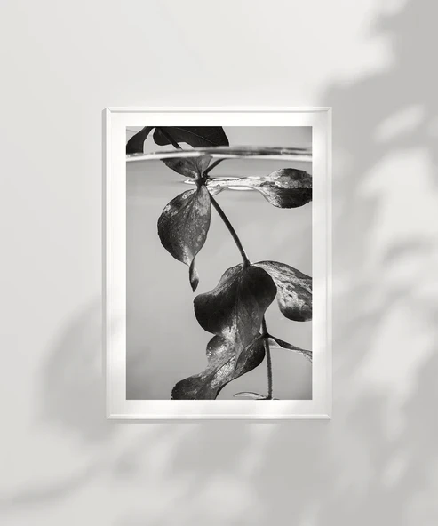 Çerçevesiz Poster Suyun Altındaki Hayat - Resim 6