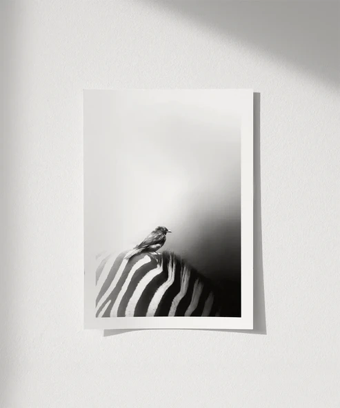 Çerçevesiz Poster Çizgilerin Üzerinde ürün görseli