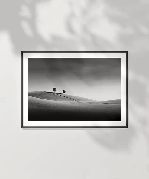 Çerçevesiz Poster Huzurun İki Tanığı - Resim 2