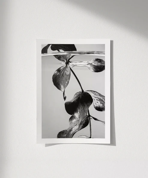 Çerçevesiz Poster Suyun Altındaki Hayat ürün görseli